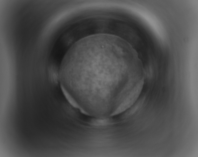 X0000101110479200807101513