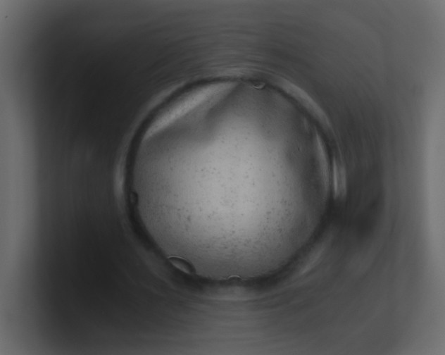 X0000101110483200807101512