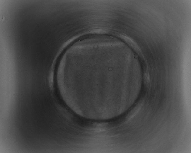 X0000101110484200807101512