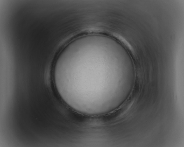 X0000101110487200807101512