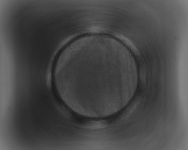 X0000101110488200807101512