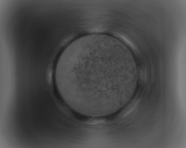 X0000101110491200807101512