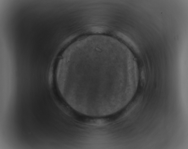 X0000101110492200807101512