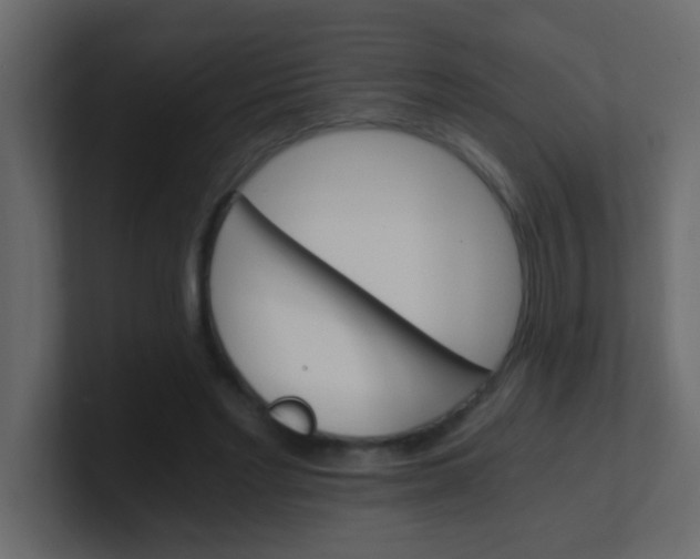 X0000101110493200807101512