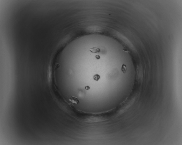X0000101110494200807101512