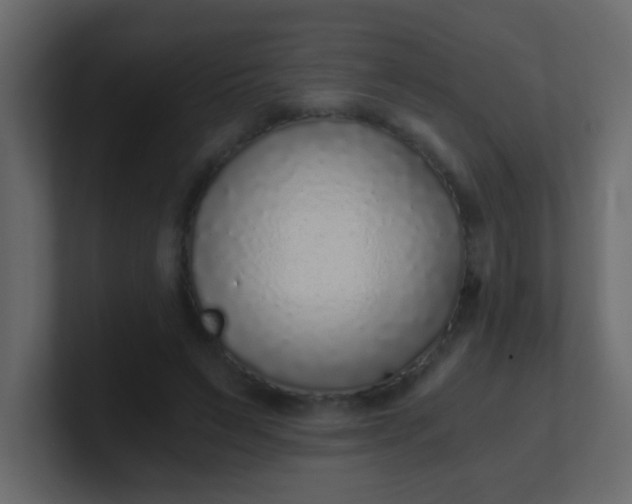 X0000101110495200807101512