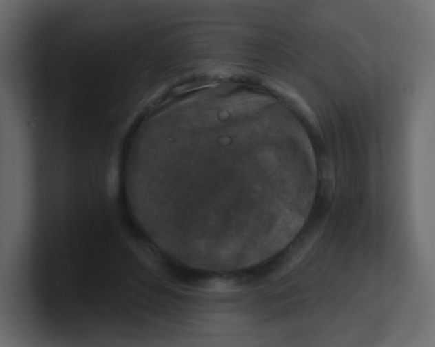 X0000101110496200807101512