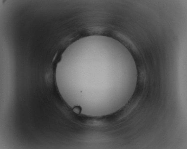 X0000101110498200807101512