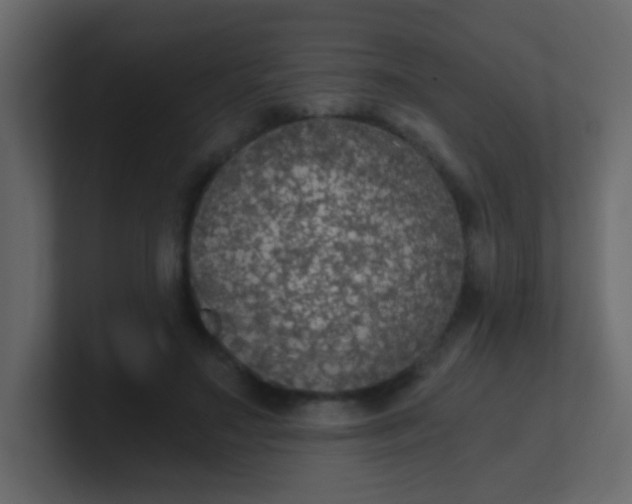 X0000101110499200807101512