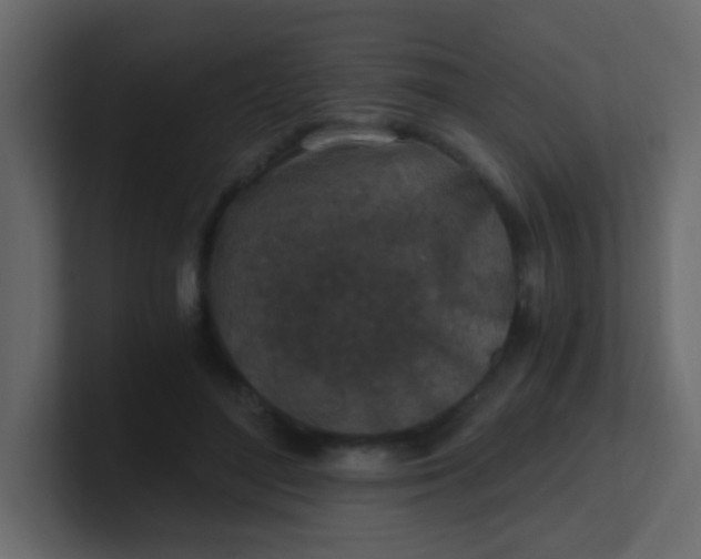 X0000101110500200807101512