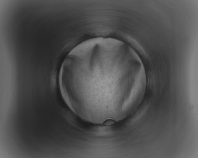 X0000101110501200807101512