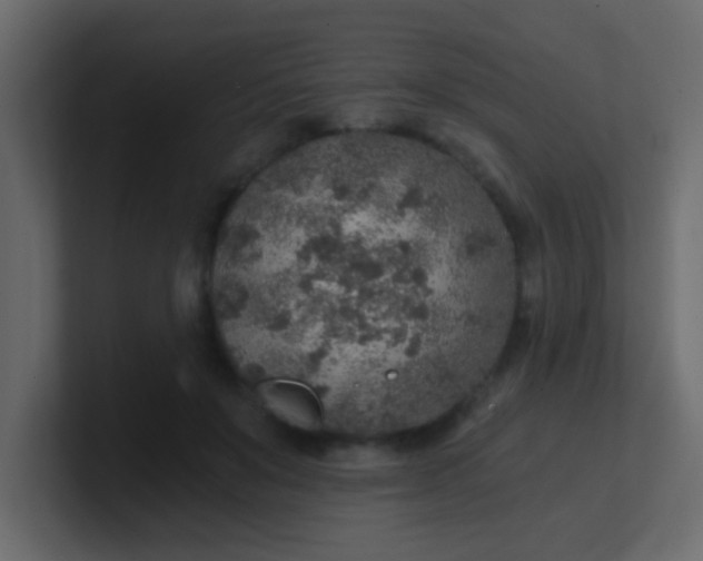 X0000101110503200807101512