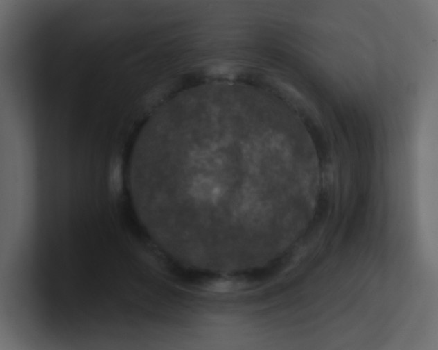 X0000101110504200807101512