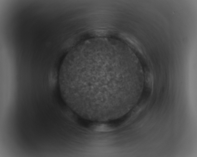 X0000101110507200807101512