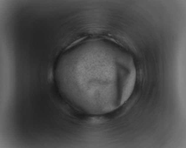 X0000101110508200807101512