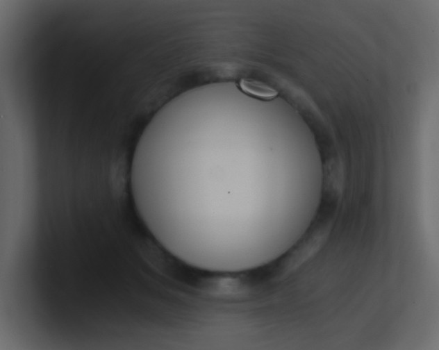 X0000101110509200807101512
