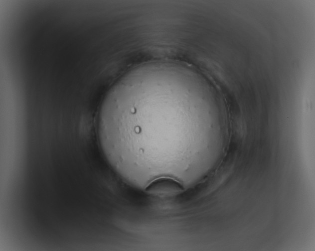 X0000101110511200807101512