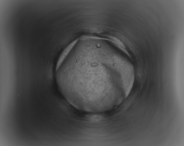 X0000101110512200807101512