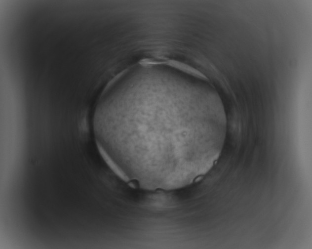 X0000101110516200807101512