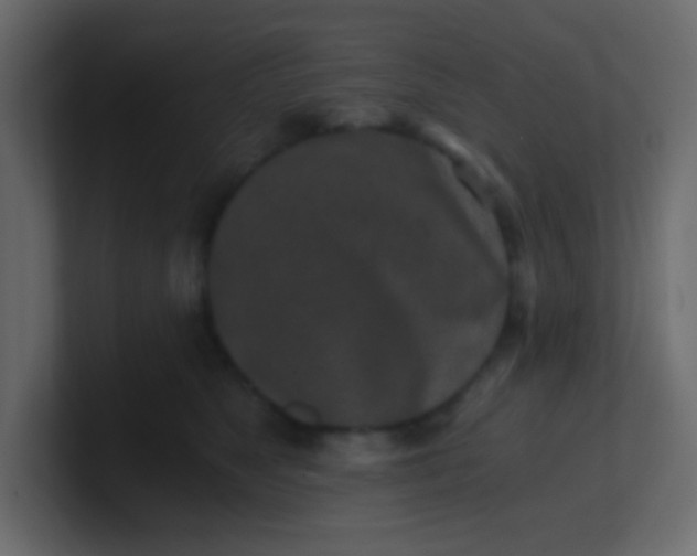 X0000101110517200807101512