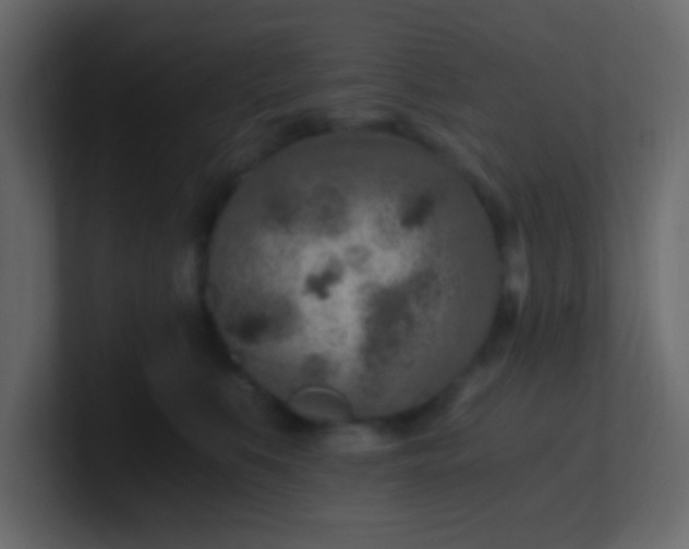 X0000101110519200807101512