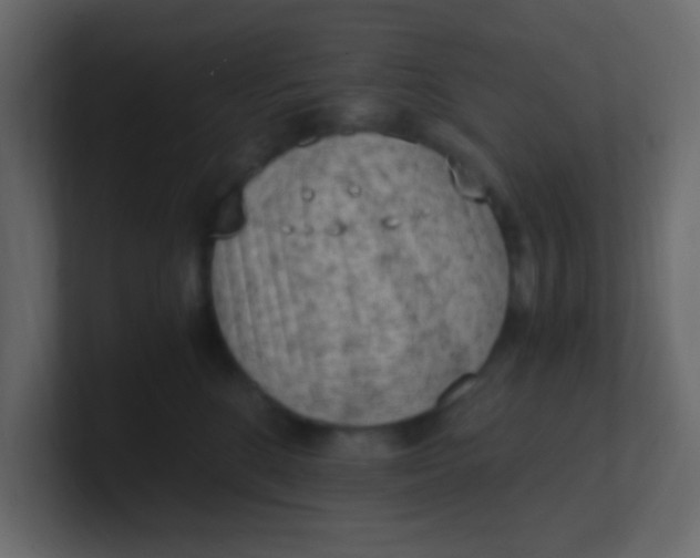 X0000101110520200807101512