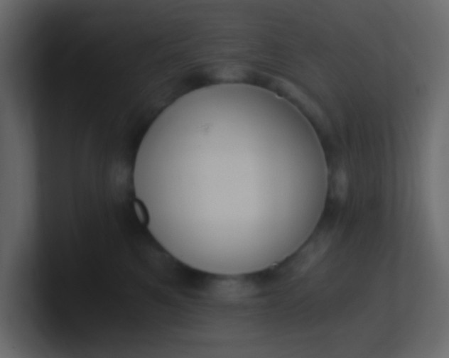 X0000101110521200807101512