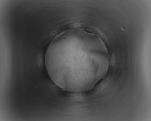 X0000101110524200807101512