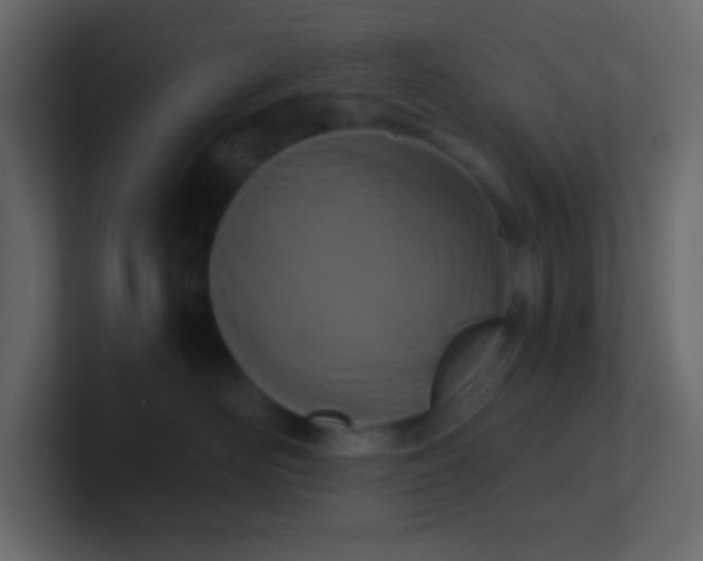 X0000101110526200807101512