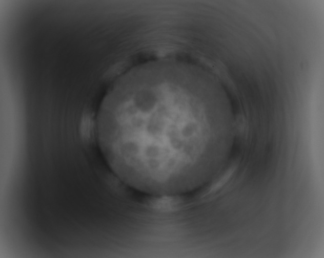 X0000101110527200807101512