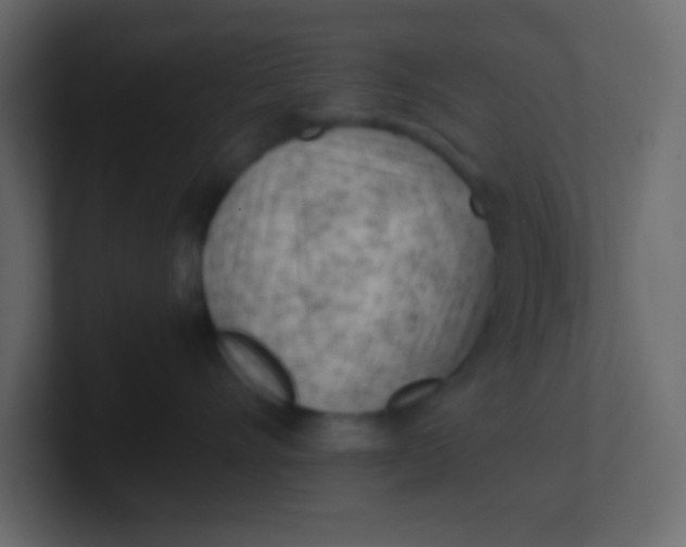 X0000101110528200807101512