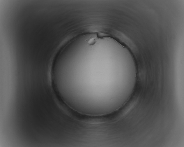 X0000101110530200807101511