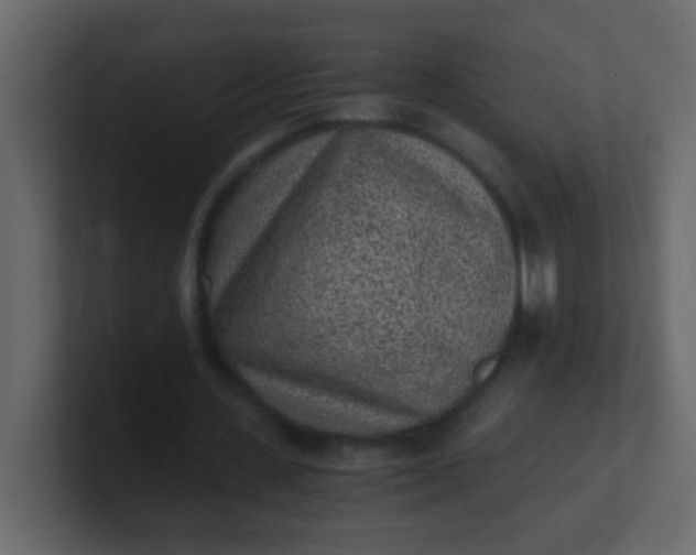 X0000101110531200807101511
