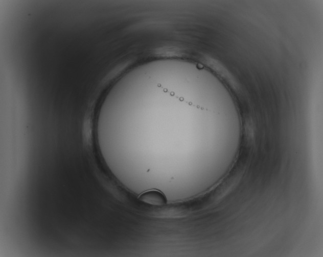 X0000101110533200807101511
