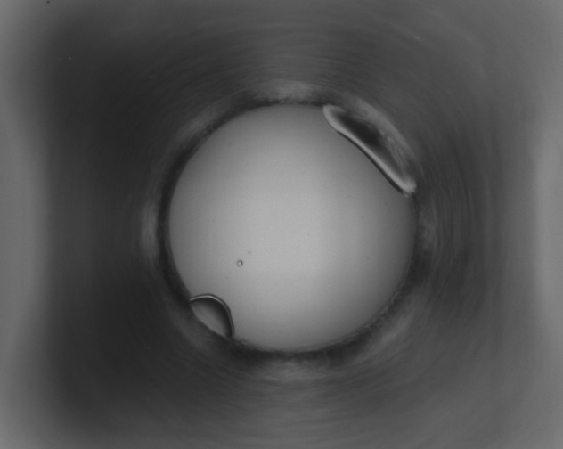 X0000101110538200807101511