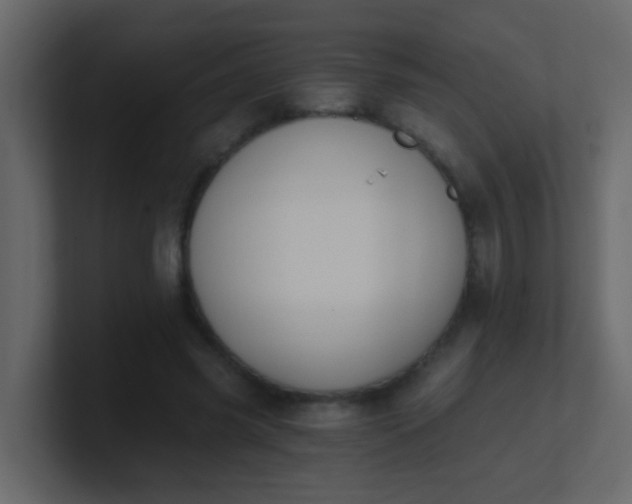 X0000101110541200807101511