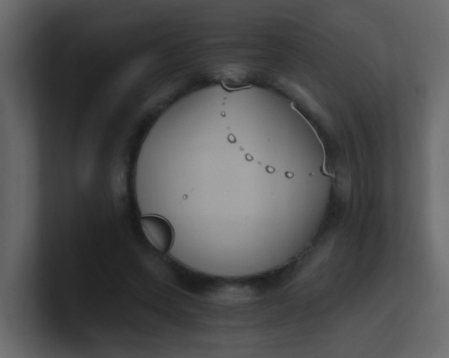 X0000101110543200807101511