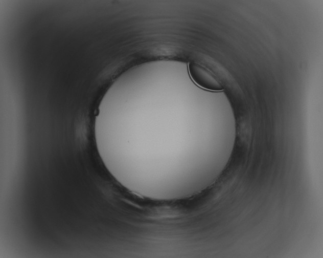 X0000101110544200807101511