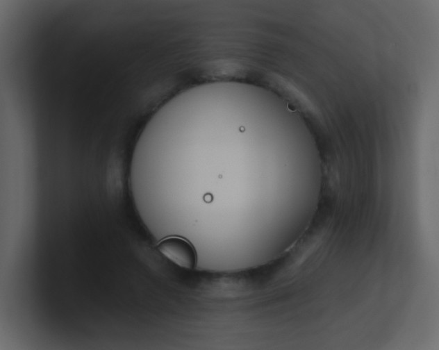 X0000101110546200807101511