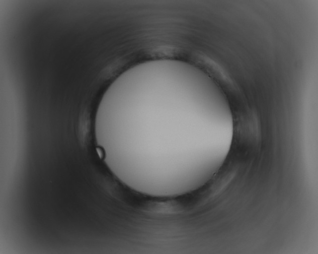 X0000101110548200807101511
