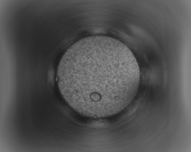X0000101110550200807101511