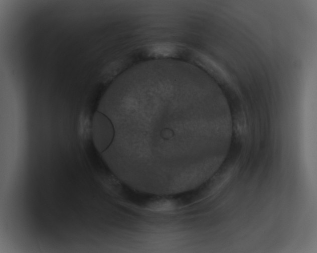X0000101110551200807101511