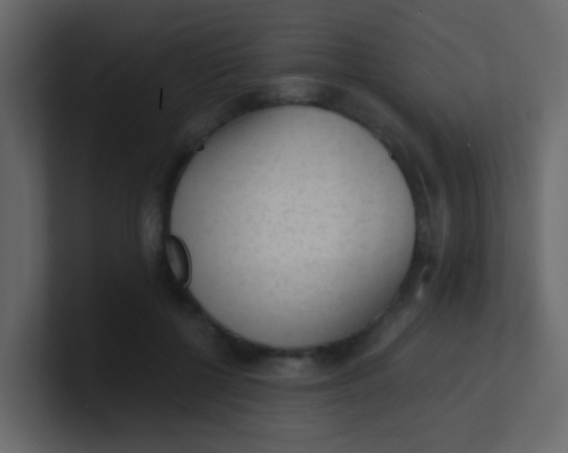 X0000101110552200807101511