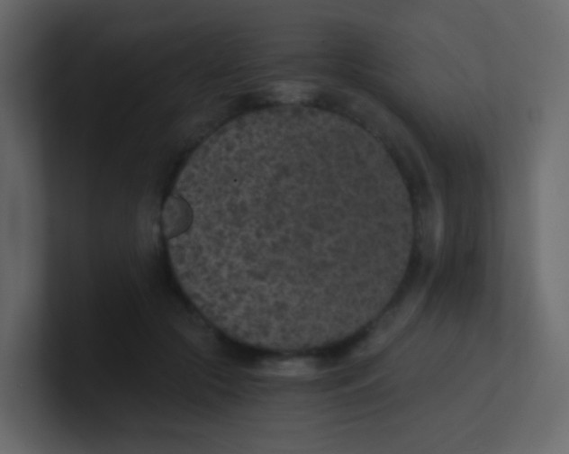 X0000101110553200807101511