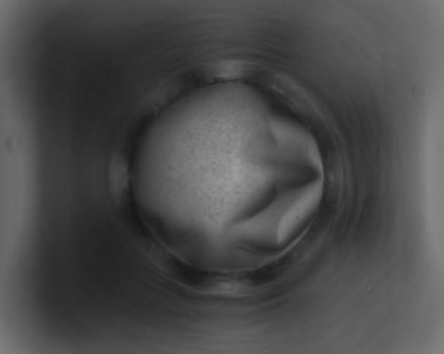 X0000101110555200807101511