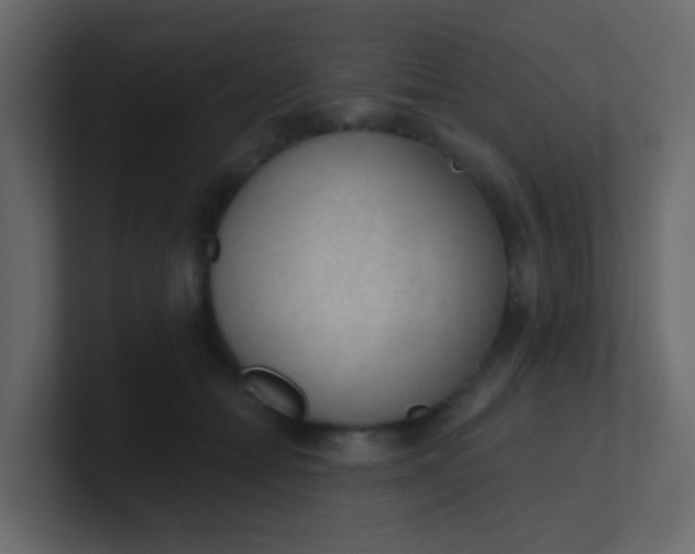 X0000101110558200807101511