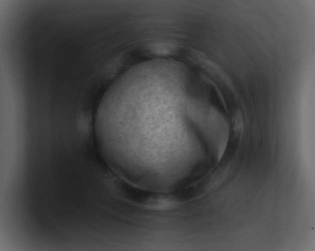 X0000101110559200807101511