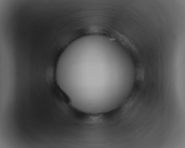 X0000101110560200807101511