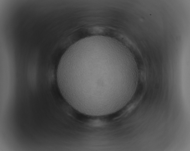 X0000101110561200807101511