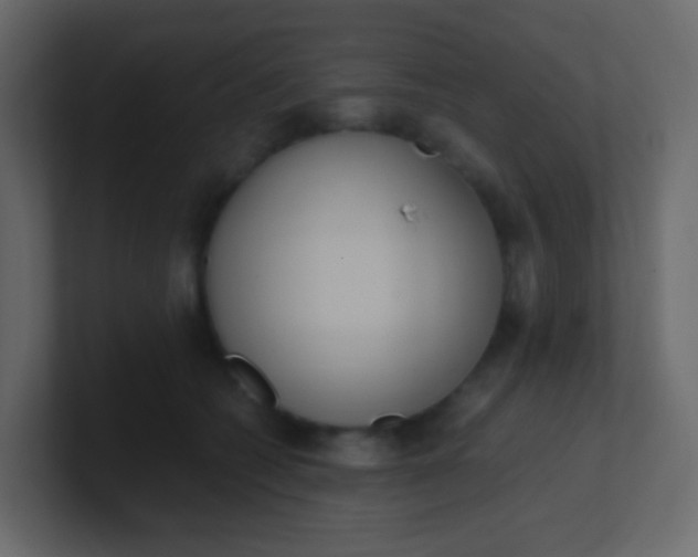 X0000101110562200807101511